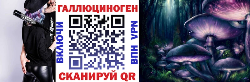 дарнет шоп  Лысково  Псилоцибиновые грибы мицелий 
